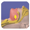 Hilton Head Sleep apnea 3