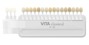 Updated vita shade guide